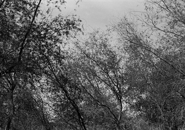 HIDDEN 8 - KaizenKollective