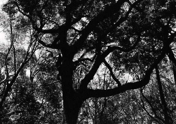 LOOK UP 10 - KaizenKollective
