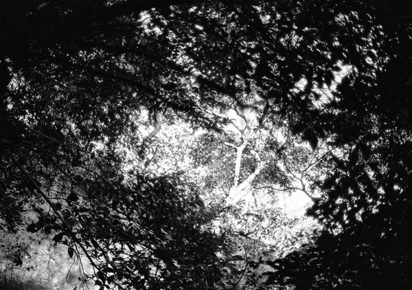 LOOK UP 12 - KaizenKollective