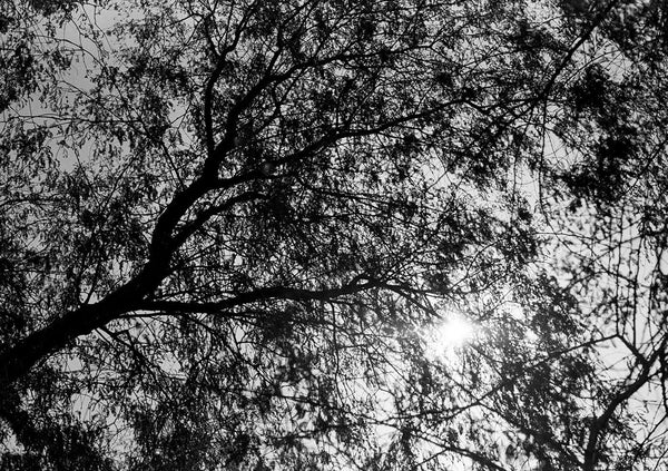 LOOK UP 13 - KaizenKollective