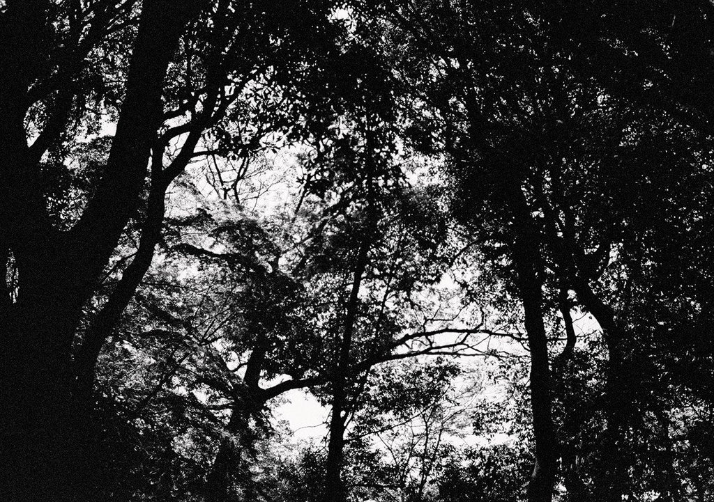 LOOK UP 9 - KaizenKollective