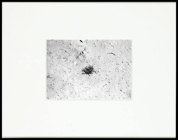 RESILIENCE 11 - KaizenKollective